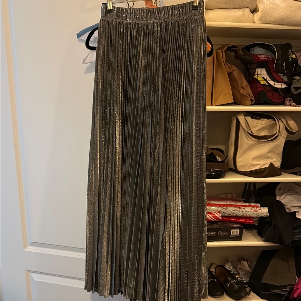 Elegant Silver Pleated Skirt